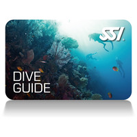 Guida subacqua (Dive Leader SSI)