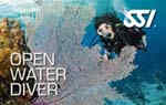 Open Water Diver